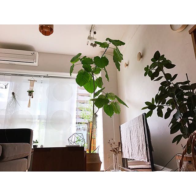 Hisayoさんの実例写真