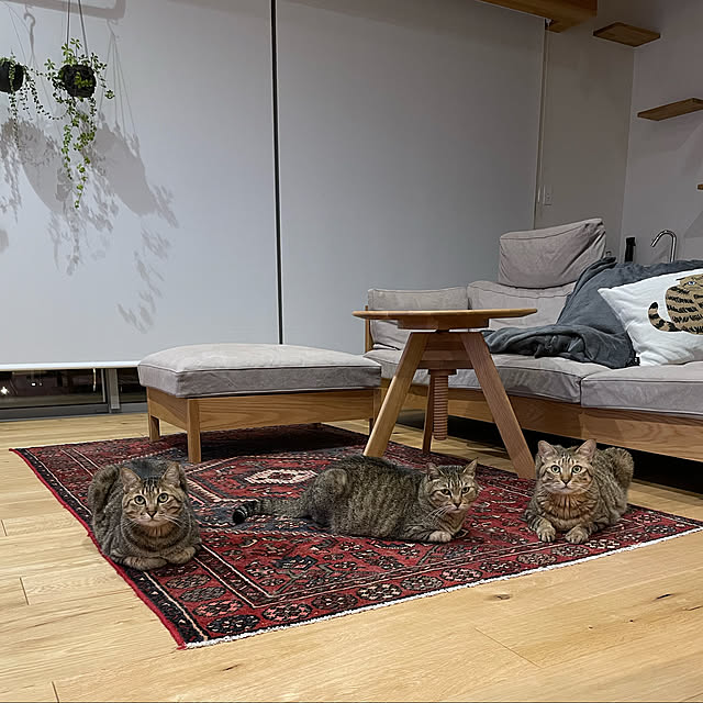 maokaさんの実例写真