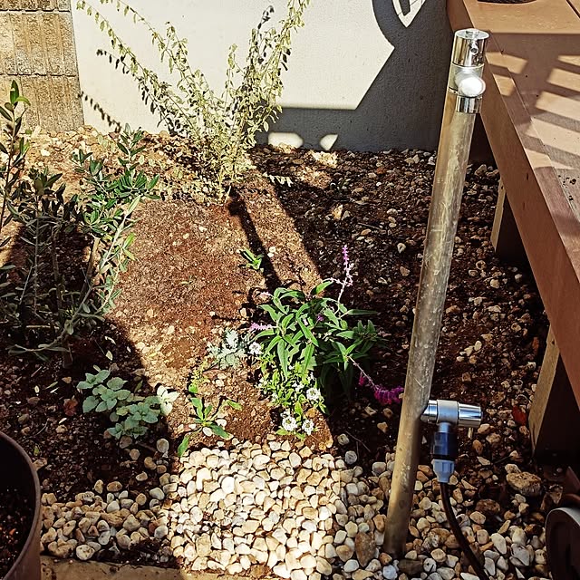 inakapanさんの実例写真