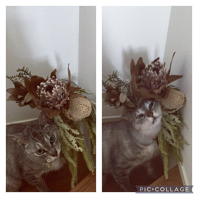 maroさんの実例写真