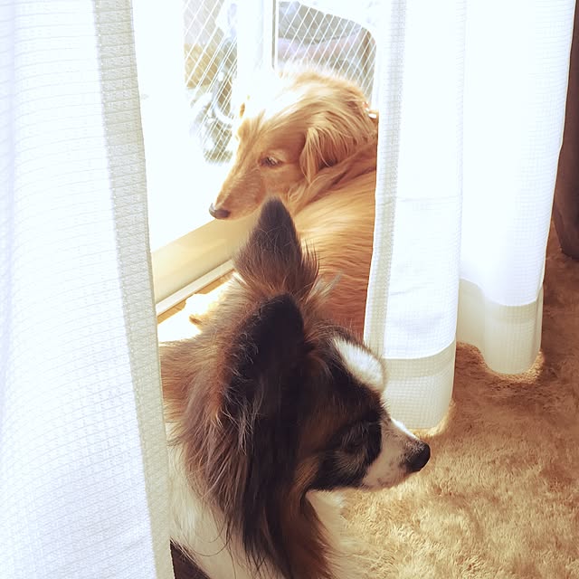 hi-tanさんの実例写真