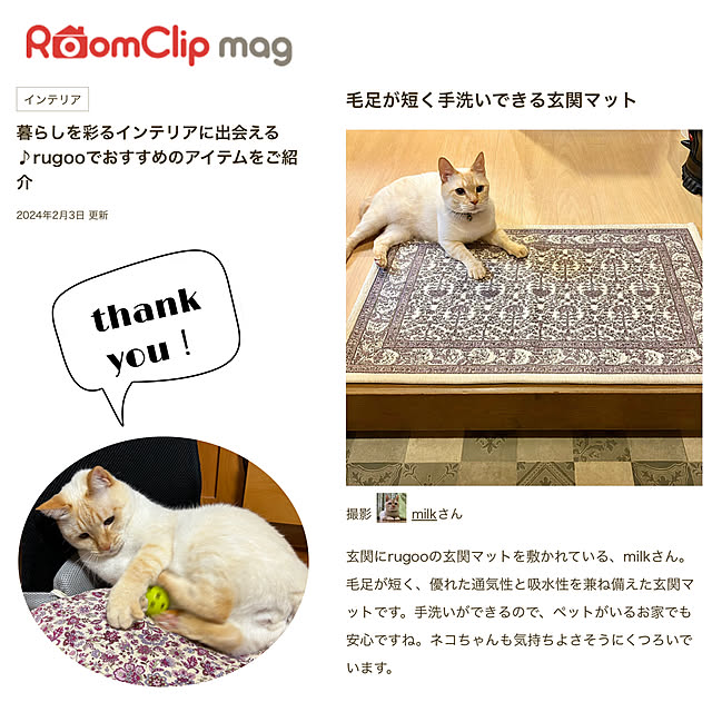 部屋全体/mag掲載20回目/後ほどゆっくりお邪魔します♡/笹かま猫/記録用に♡...などのインテリア実例 - 2024-02-04 10:54:08