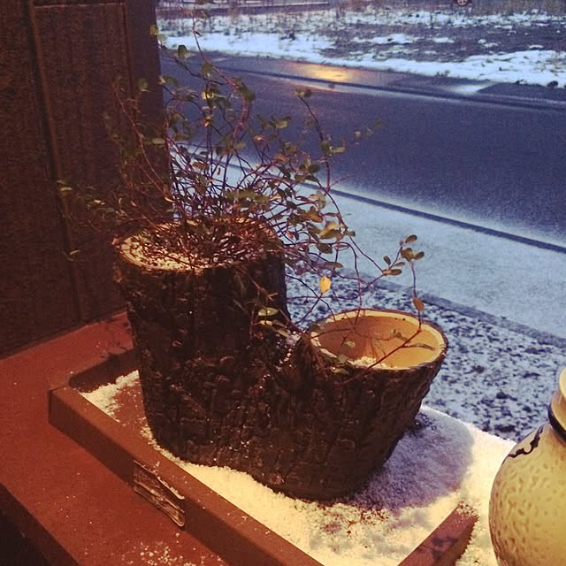 実例写真