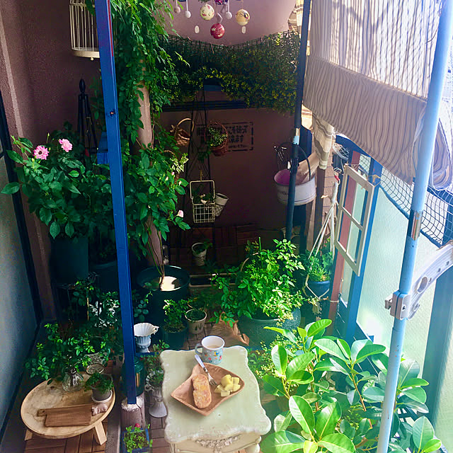 naokoさんの部屋
