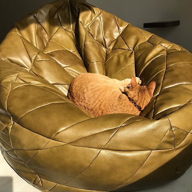 minakoさんの実例写真