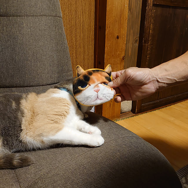 fukuさんの実例写真
