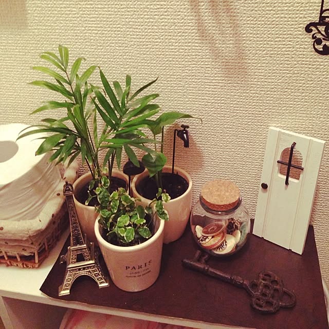 バス/トイレ/セリア/雑貨/100均/植物のインテリア実例 - 2014-04-06 13:30:16