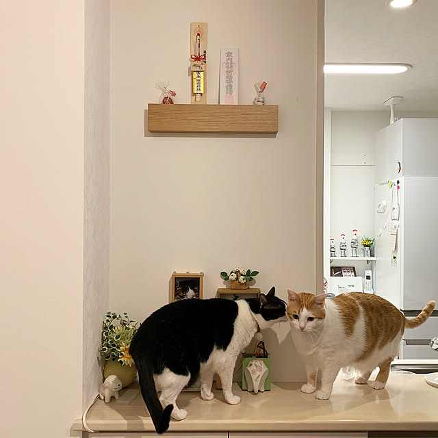 bikkeさんの実例写真