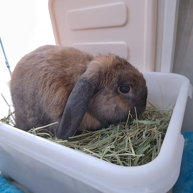 mariaさんの部屋