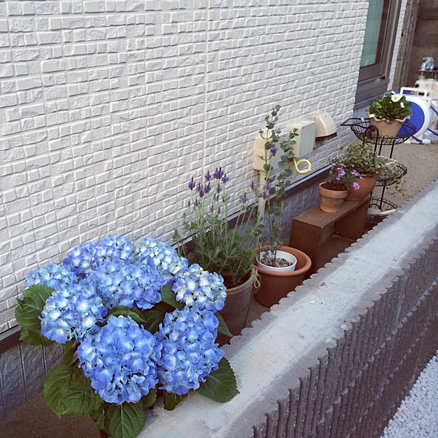 実例写真