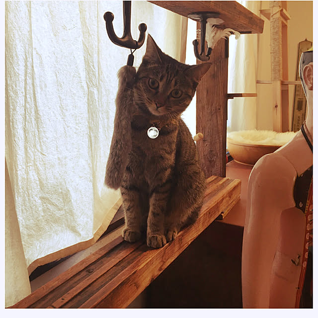 Mさんの実例写真