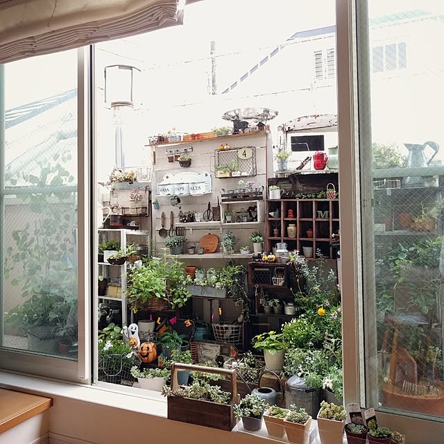 kokkomachaさんの実例写真
