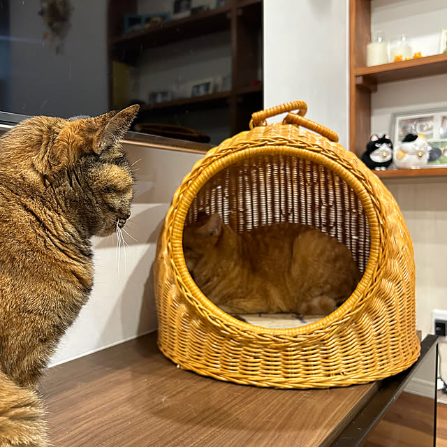 mikeume7さんの部屋