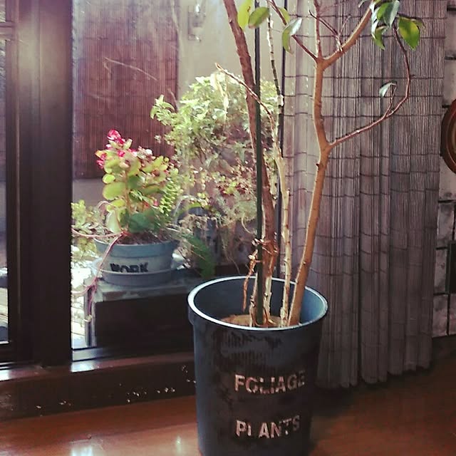 midoさんの実例写真