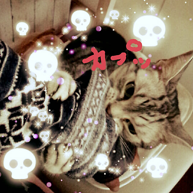 kumingさんの実例写真