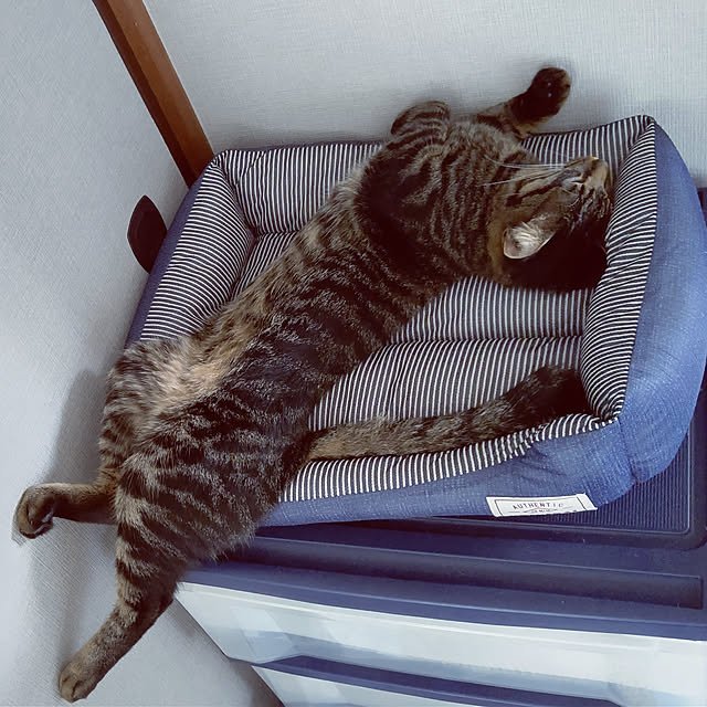 hihaさんの実例写真