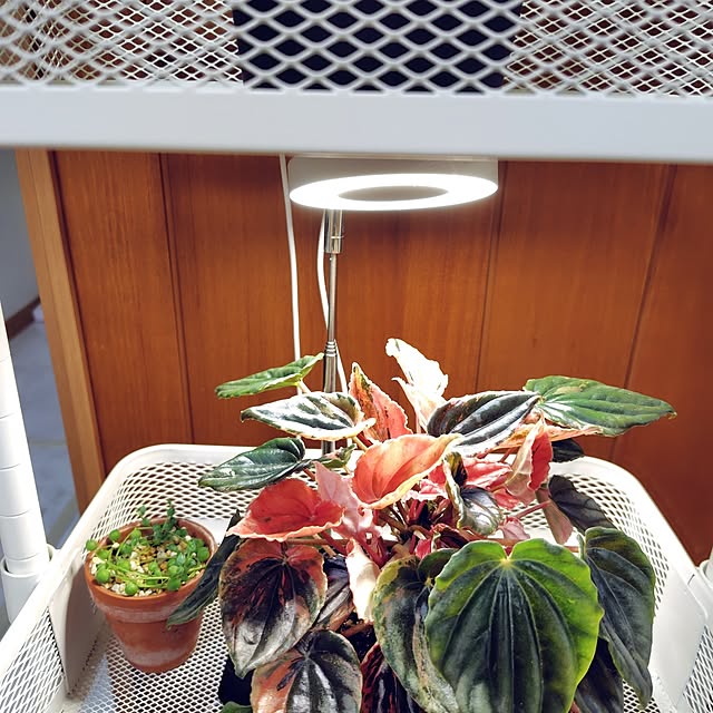 nachiさんの部屋