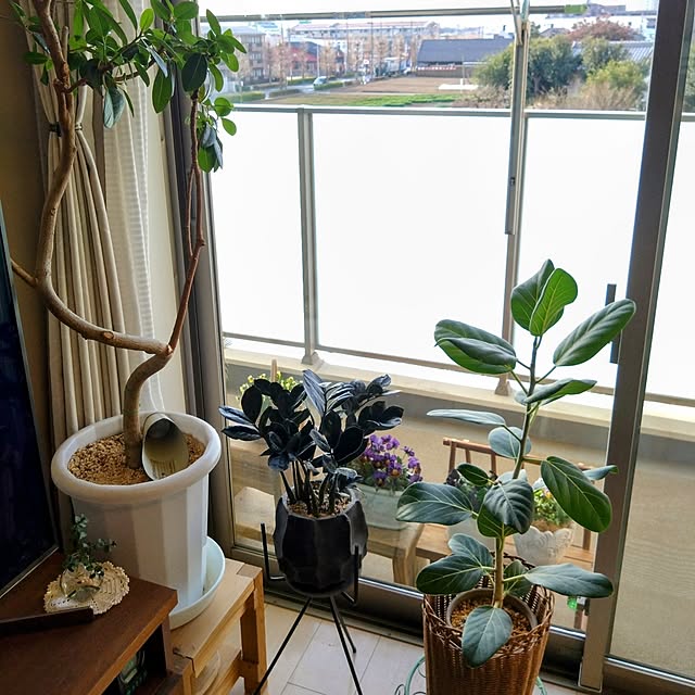 kerochanさんの実例写真