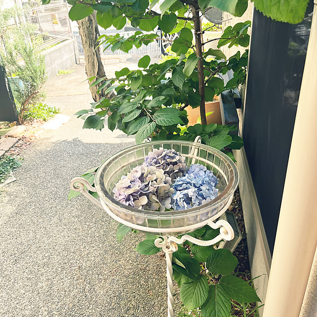 kazuさんの実例写真