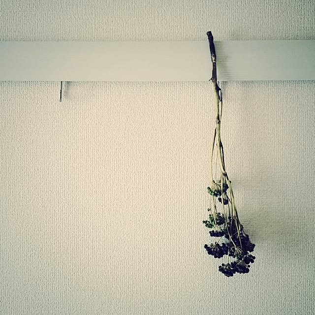 Georgeさんの実例写真