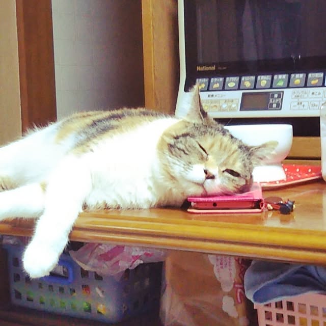 yukieさんの実例写真