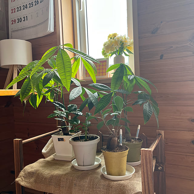 mogumoguさんの部屋