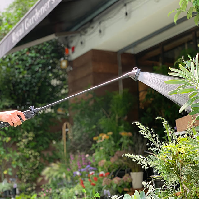 Royal_Gardeners_Clubさんの実例写真