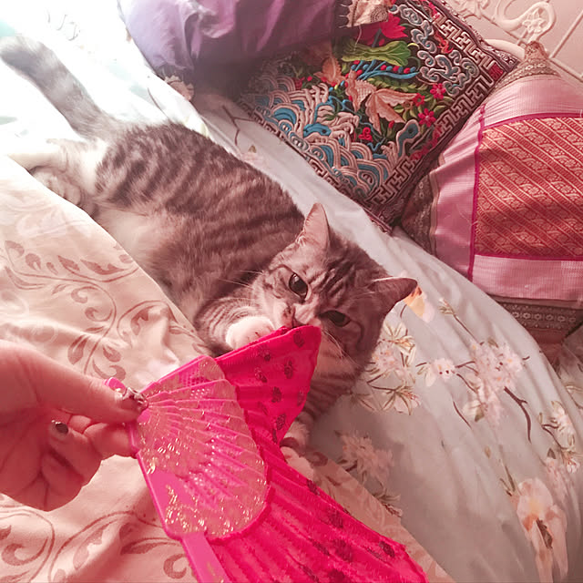 chrisさんの実例写真