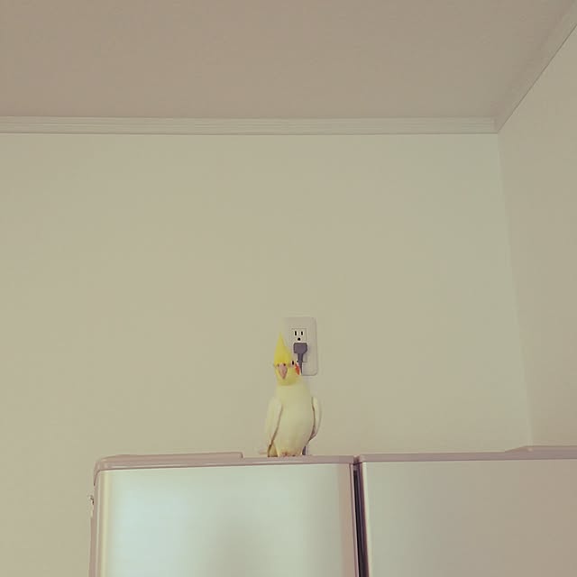 Mさんの実例写真