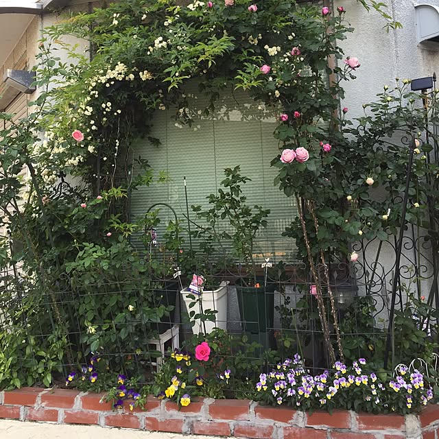 greenroseさんの実例写真