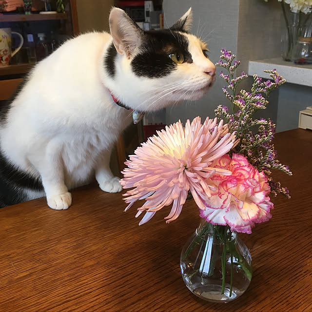 hanaさんの実例写真