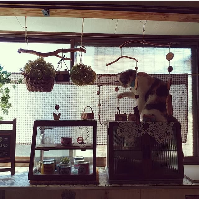 fukuさんの部屋