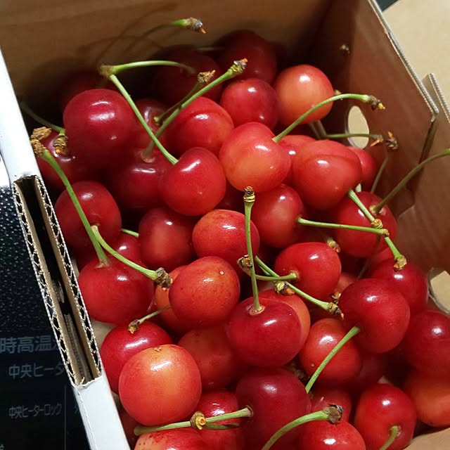 KOHAKUさんの実例写真
