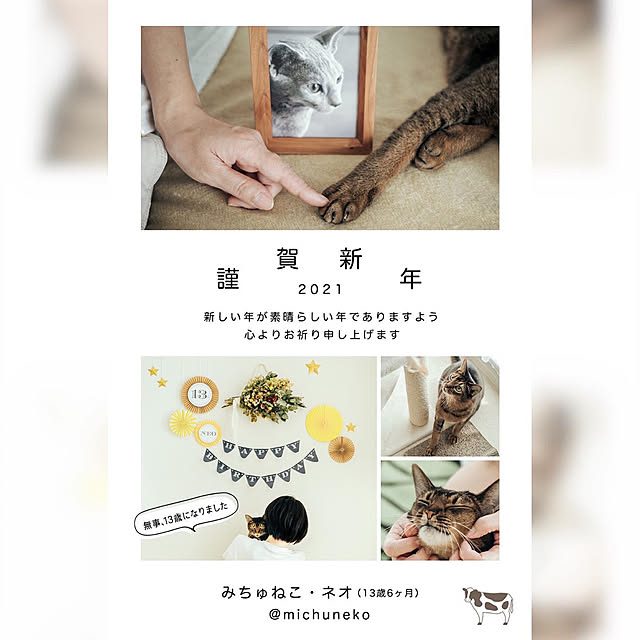 michunekoさんの実例写真