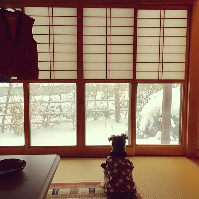 korikoriさんの実例写真
