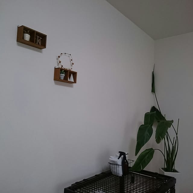 hiroponさんの実例写真