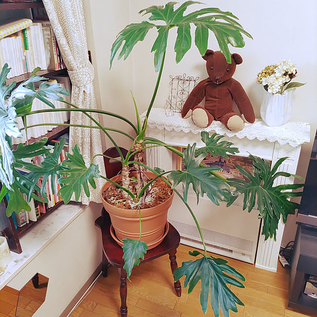 nyankonecoさんの実例写真
