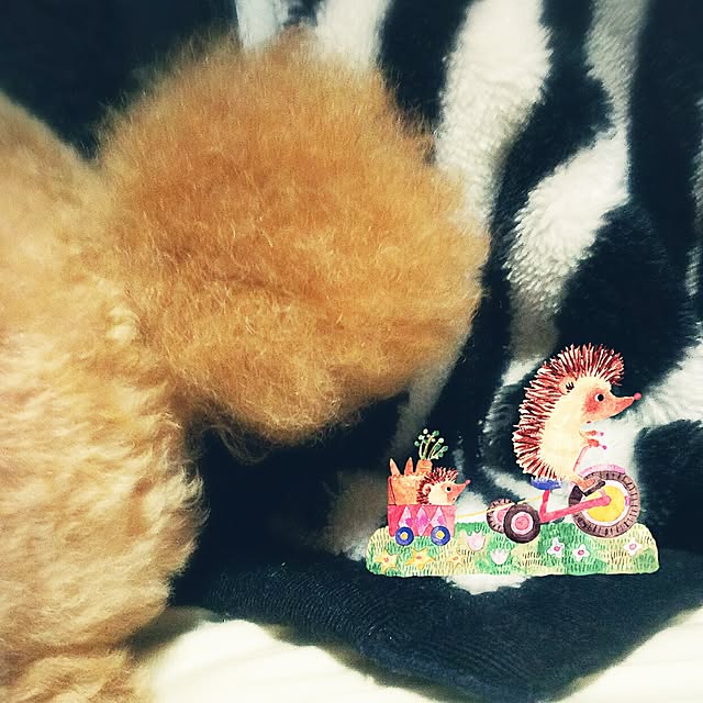 cherrycherryさんの実例写真