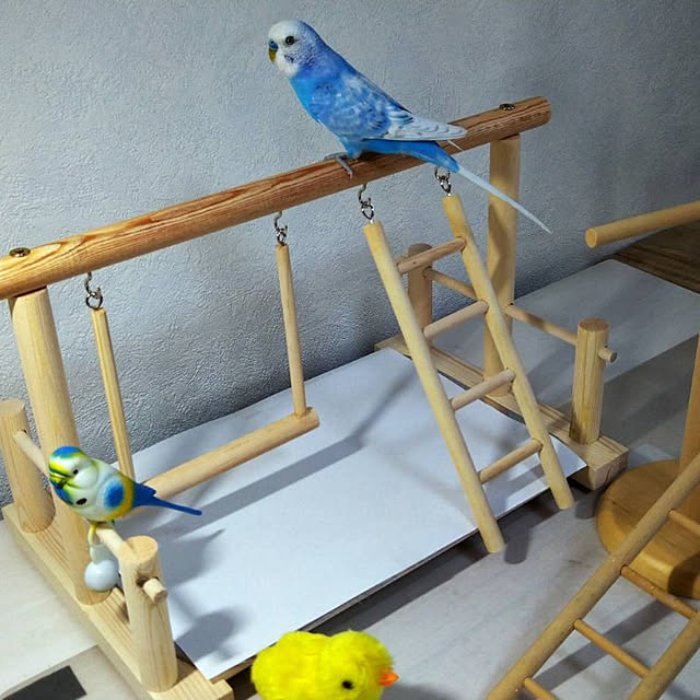 toratanさんの実例写真
