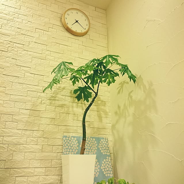 yuzukoさんの実例写真
