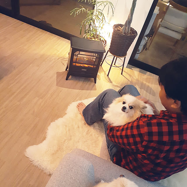 noahさんの実例写真