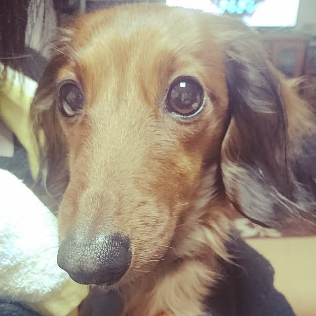 andさんの実例写真