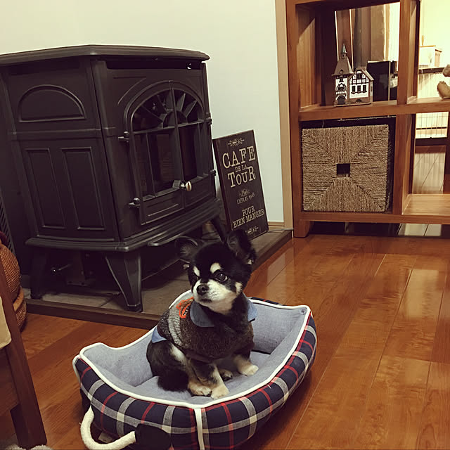 mmyychinさんの実例写真