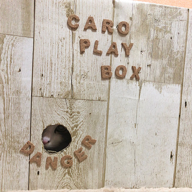 caroomさんの実例写真