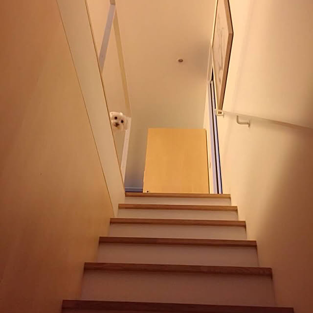 壁/天井のインテリア実例 - 2021-05-02 19:58:29