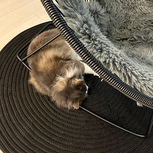 leoさんの実例写真