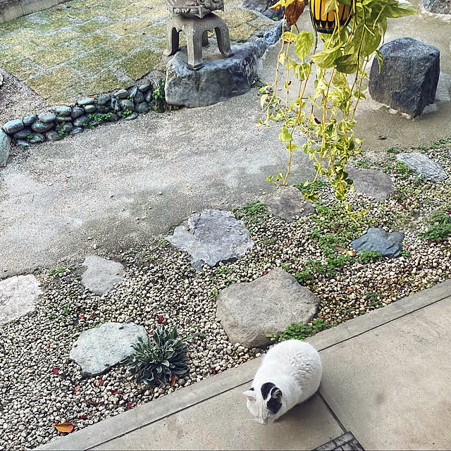uninekoさんの実例写真