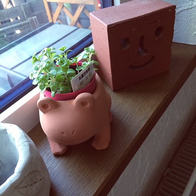 miumiuさんの実例写真