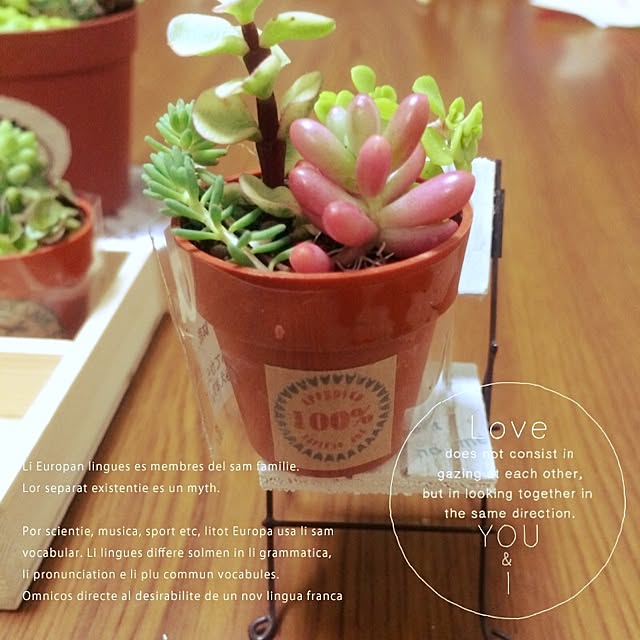 chirinさんの実例写真
