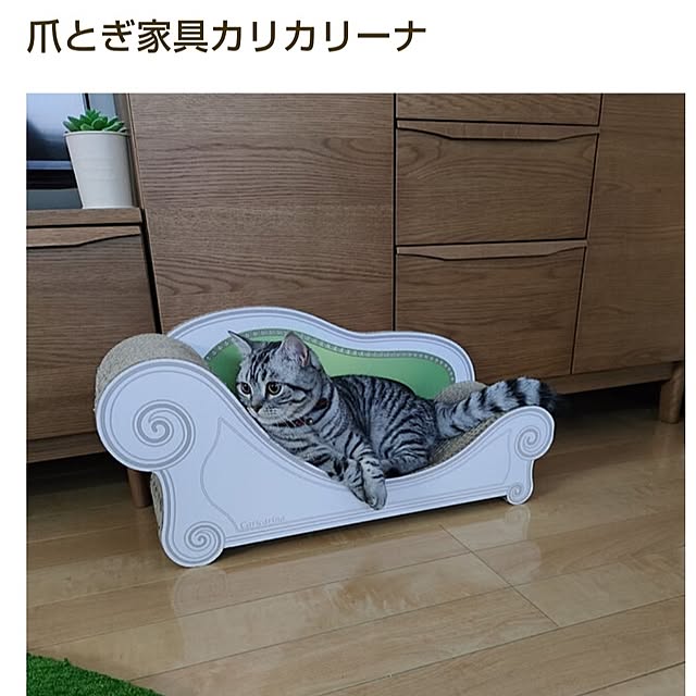 hiro3さんの部屋